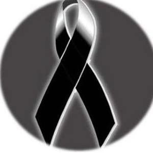 Meet your Posher, Fredy